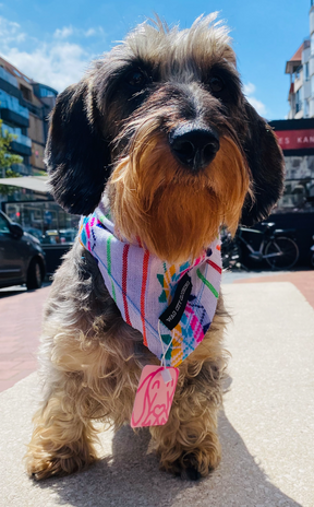 Rosarito Bandana