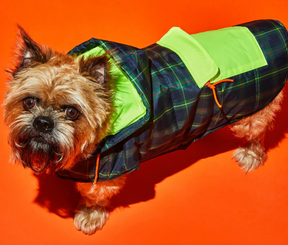 Neon scottic puffer jacket