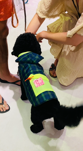 Neon scottic puffer jacket