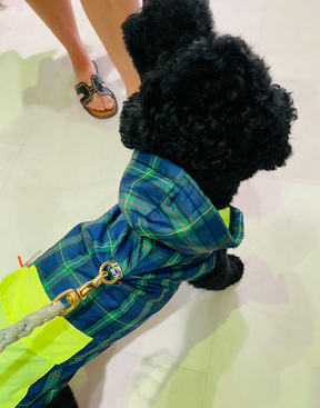 Neon scottic puffer jacket