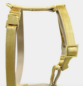 Golden Velvet Harnas