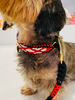 Grand Prix collar
