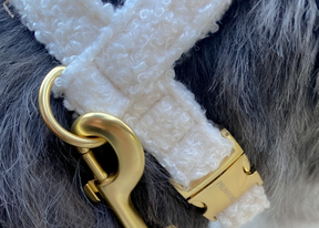 Autumn Collection - Harnas Teddy White Pepper