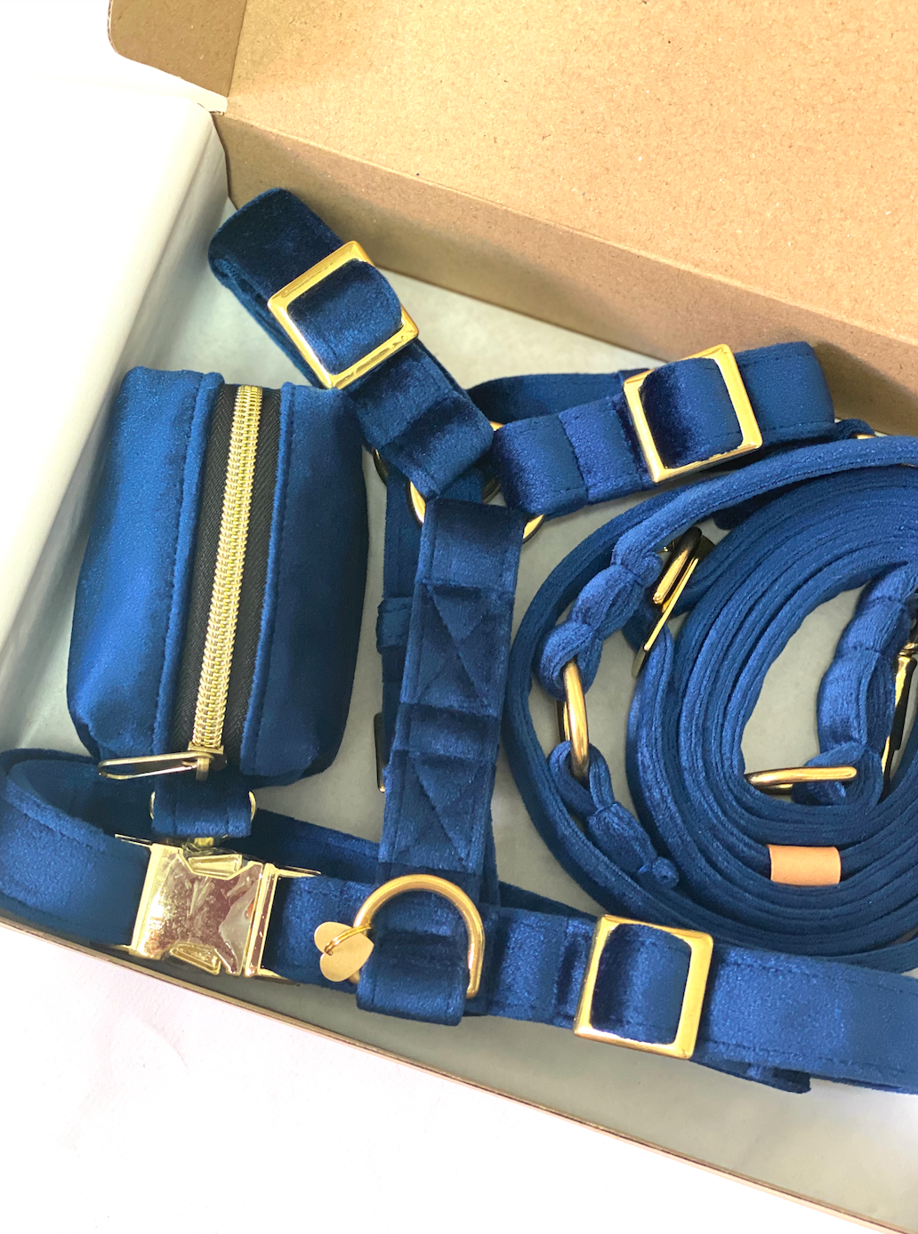 Luxury Velvet Harness set Royal Blue
