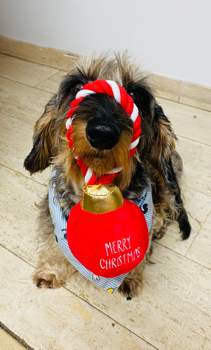 Christmas bauble with rope