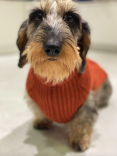 Royal John Pullover