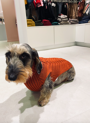 Royal John Pullover