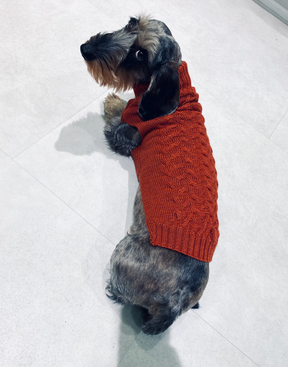Royal John Pullover