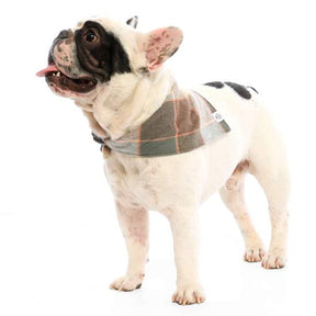 Aspen plaid flannel bandana