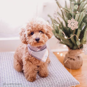 Aspen plaid flannel bandana