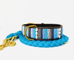 Paracord Türkis.