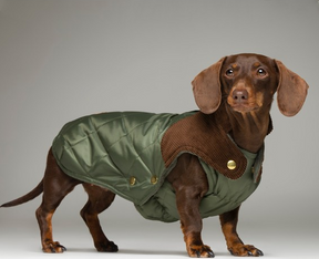 Quilted waterproof regenjas - jacht