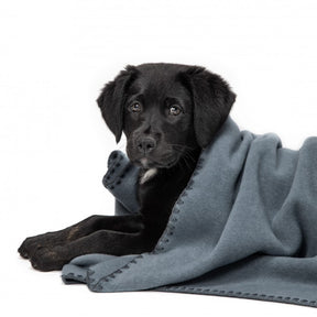 Fleece Dove Blue