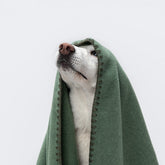 Fleece Dusty Green