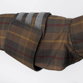 Tartan - a Dachshund special