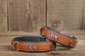 Dackel cognac- groen