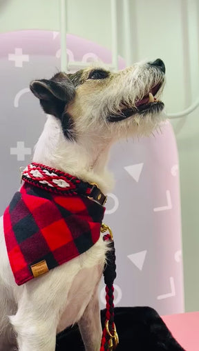 Red & Black Control Flanel Bandana