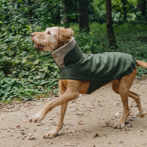 Flannel Green