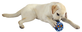 Roller Bal Jumbo