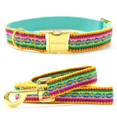 Ibiza Yellow Collar