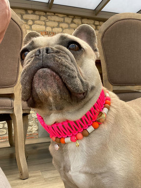Neon Pink Classic collar - Green Biothane