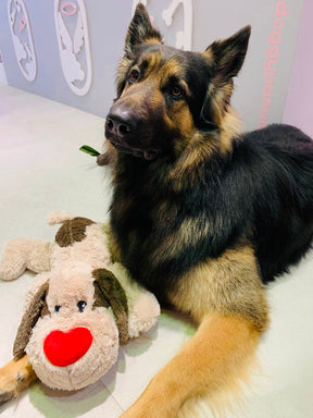Love you woof - beige