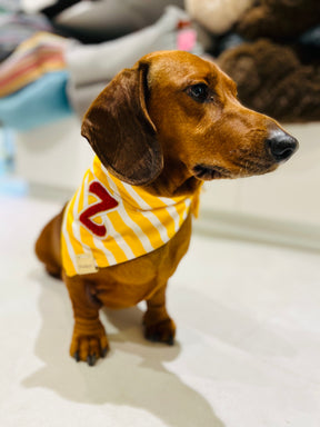 Willkommen bei Knokke - Beaufort Bandana - Limited Edition