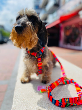 Laavida Neon Orange Harness