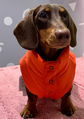 Doudou Pumpkin