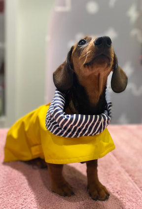 Raincoat yellow