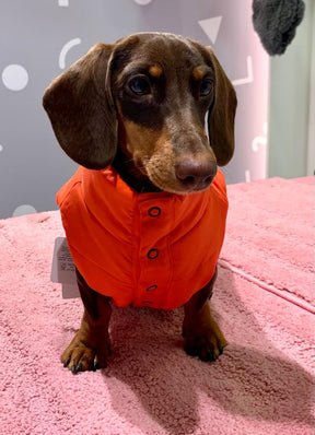 Doudou Pumpkin