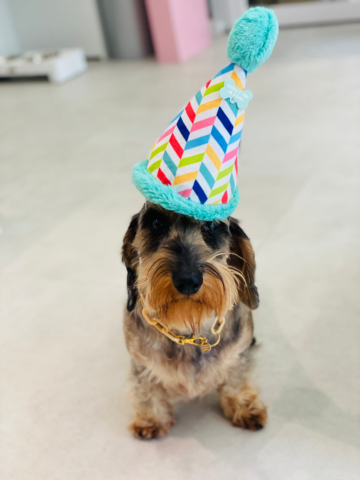 Cappello di buon compleanno