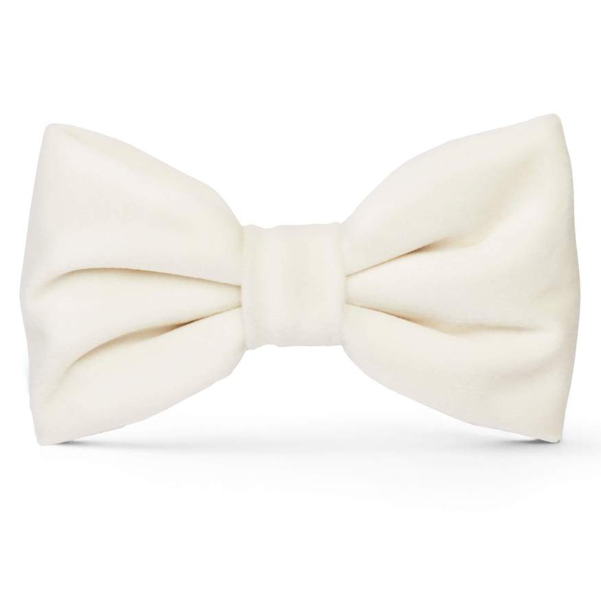 Hochzeit Elfenbein Samt Bogen