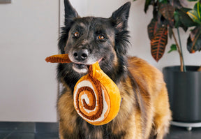 Cinna-bone roll