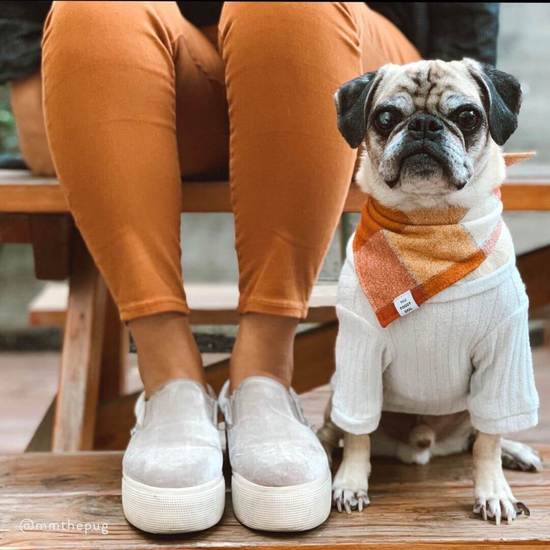 Pumpkin Spice flannel bandana