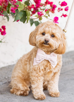 Wedding Blush Pink Lady Strik