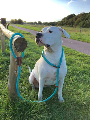 Slip Leiband Turquoise rope