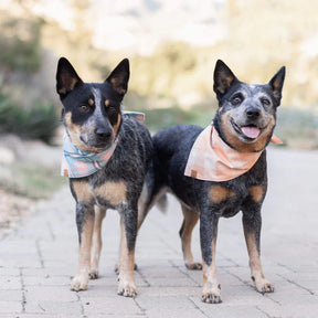 Sorbet Gingham bandana